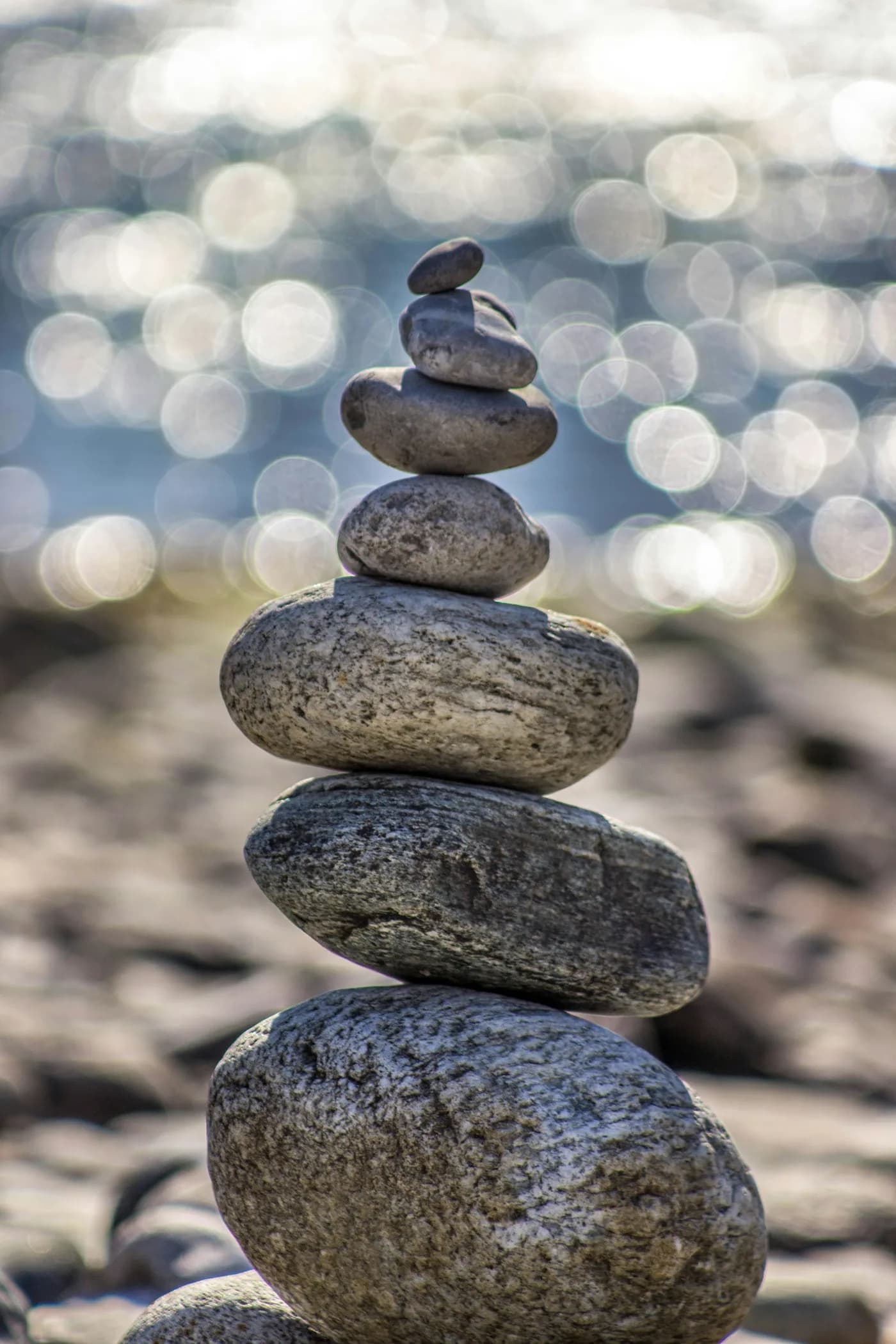 Yoga & Wellness