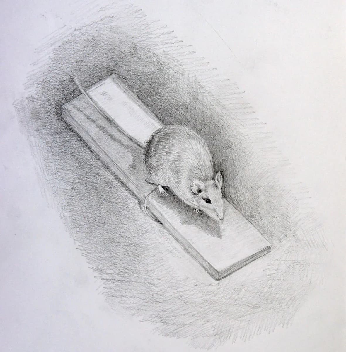 Artwork by Tom Reed