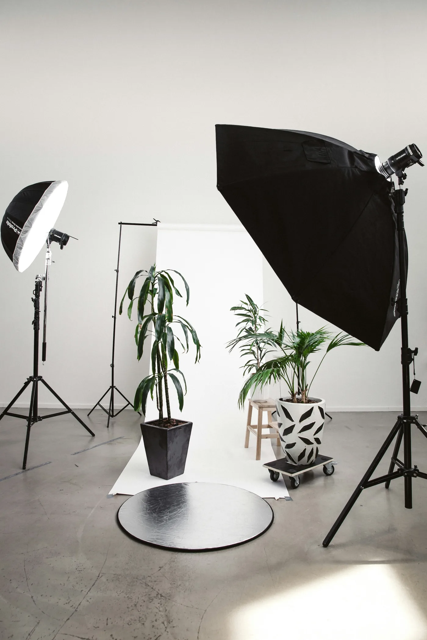 Studiofotografie Ganztägiger Kurs